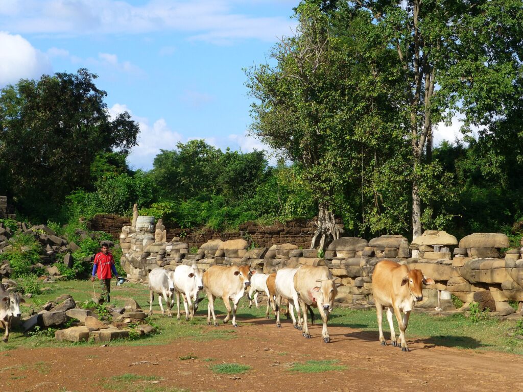 Causeway at Banteay Chhmar temple, Cambodia