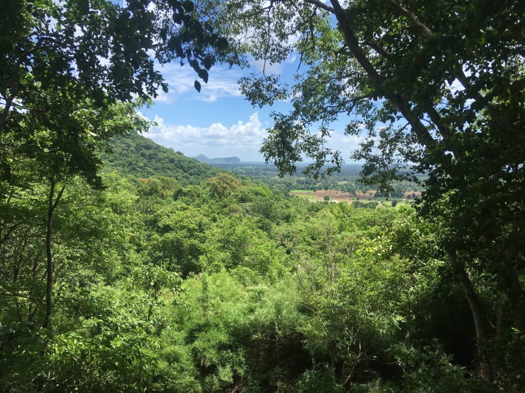 The view over forest and plains from Phnom Banan, Battambang, Cambodia