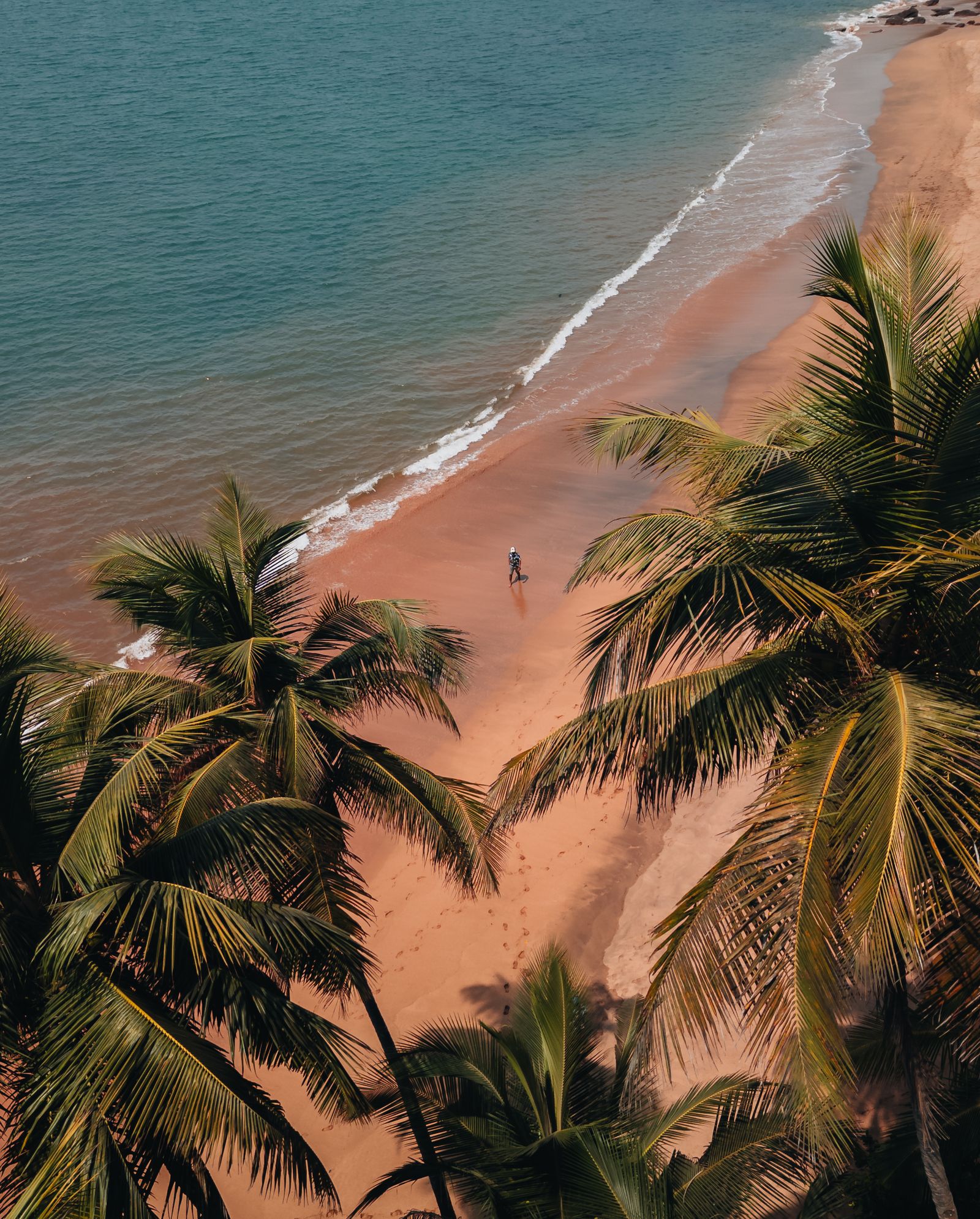 Aerial view of a tropical island beach