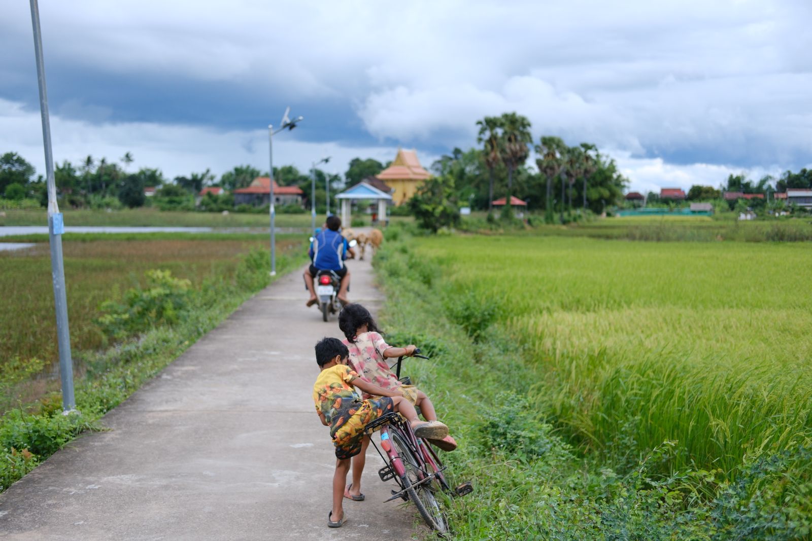 Siem Reap Green Journey — Cambodia tour package